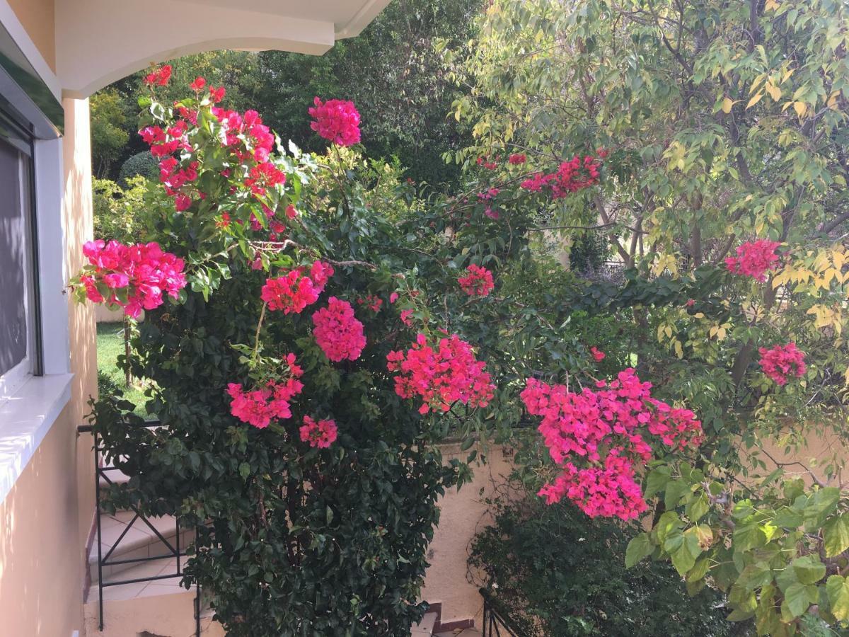 Villa Tzitzifies Kourouklata Buitenkant foto